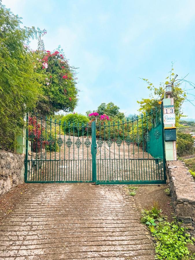 Apartment With Huge Deck Nestled In Marvelous Gardens - Nidos La Orotava Exteriör bild